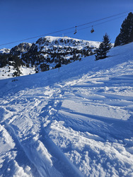 Chamrousse : MARMOTTES !!!