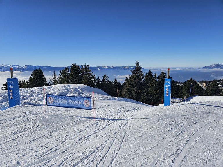 Chamrousse : MARMOTTES !!!