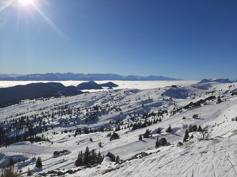  Le lundi, tout est permis