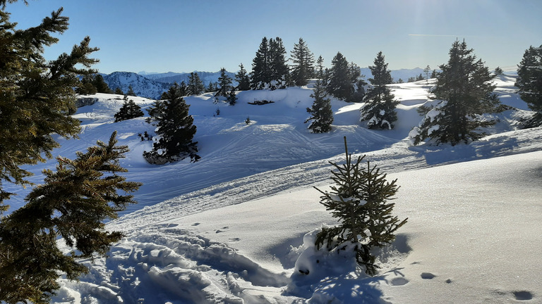  Le lundi, tout est permis