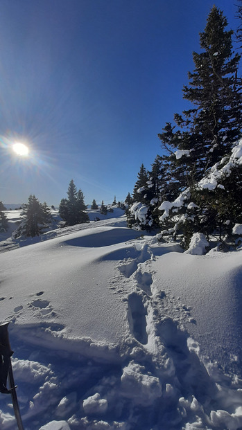  Le lundi, tout est permis