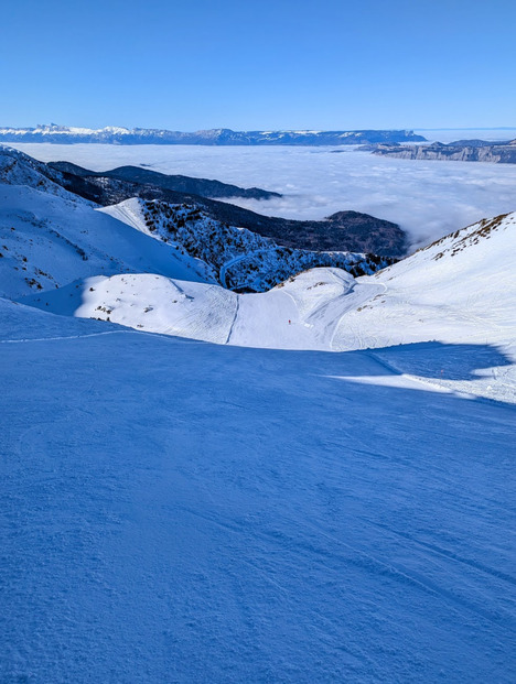 Belle matinée au soleil