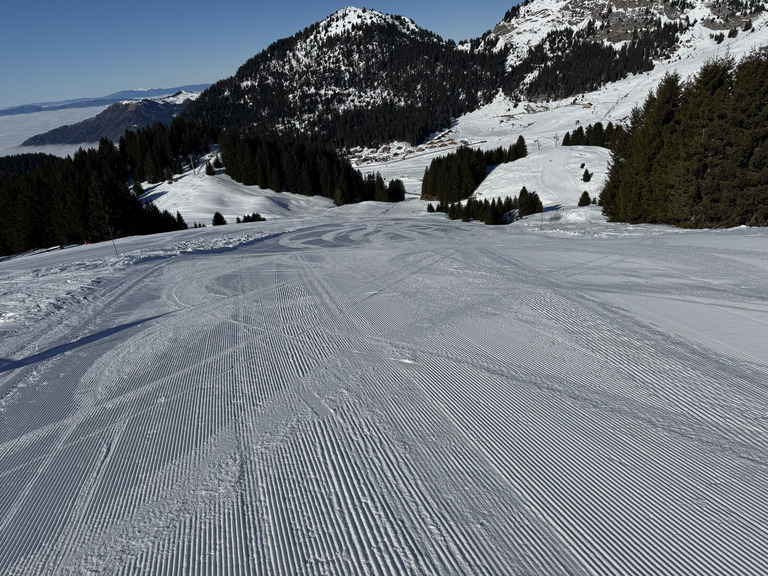 Très bon sur piste et très calme