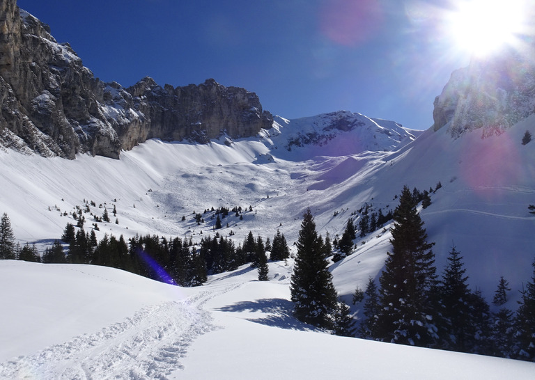 Des paillettes dans la montagne