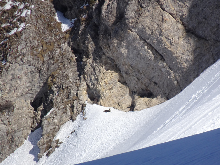 Des paillettes dans la montagne