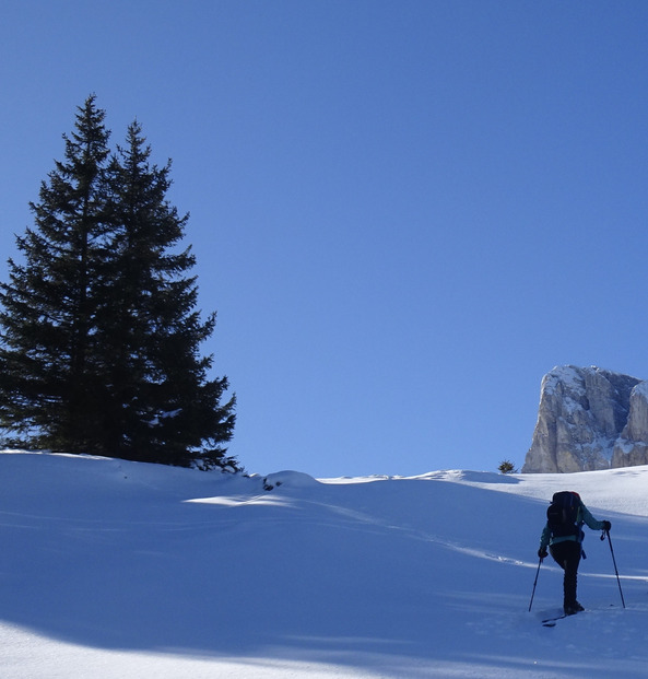 Des paillettes dans la montagne