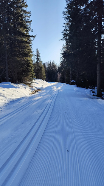 Chamrousse Nordic : ski de fond ciel bleu et bonne glisse