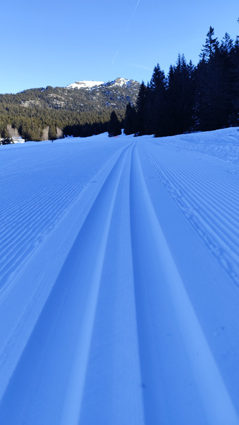 Chamrousse Nordic : ski de fond ciel bleu et bonne glisse