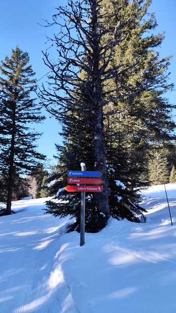 Chamrousse Nordic : ski de fond ciel bleu et bonne glisse