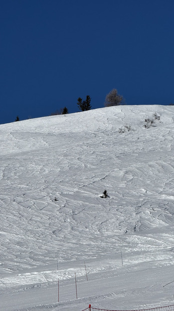 Encore une journée à carver 