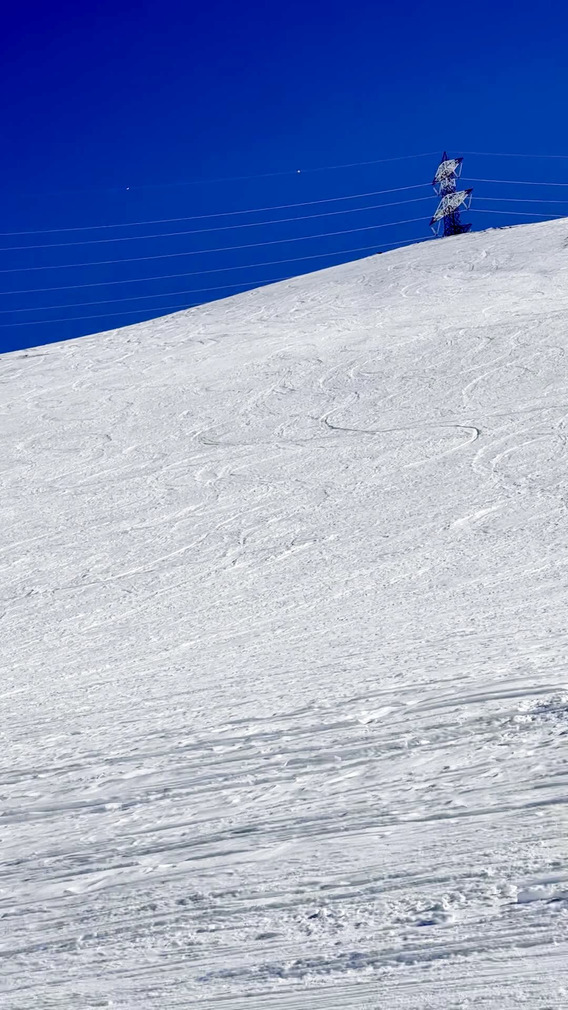 Encore une journée à carver 