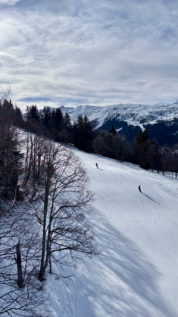 Affûtage des carres vivement conseillé 