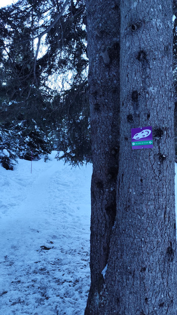 Chamrousse Nordic Park : l'Arselle à raquettes