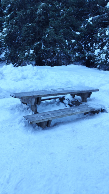 Chamrousse Nordic Park : l'Arselle à raquettes