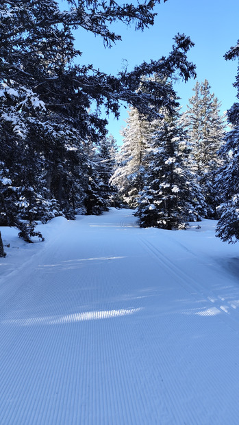 Chamrousse ski de fond : conditions magnifiques 