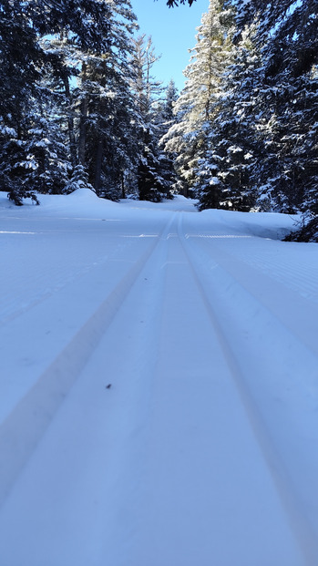 Chamrousse ski de fond : conditions magnifiques 