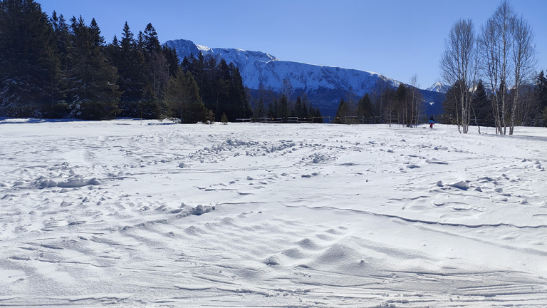 Chamrousse ski de fond : conditions magnifiques 