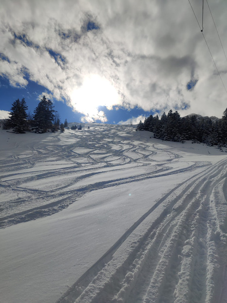 Journée poudreuse