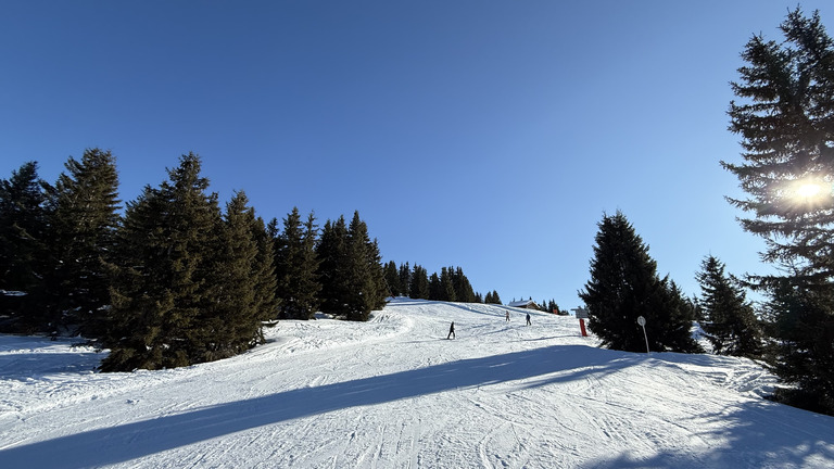 Les saisies : Belle découverte en famille 