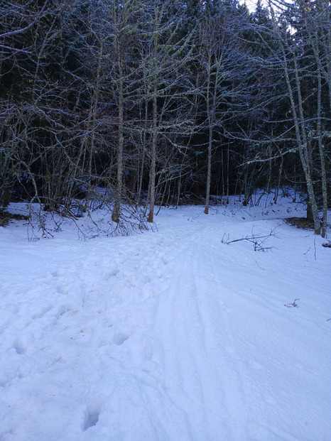 Combe de l'ours