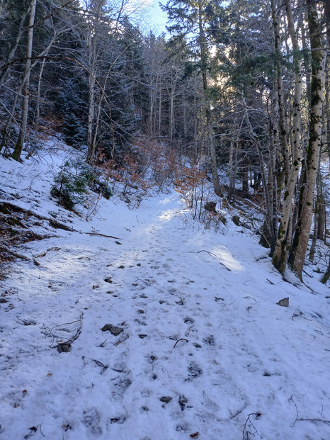 Combe de l'ours