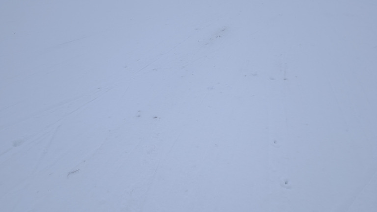 Le lundi à Bonneval