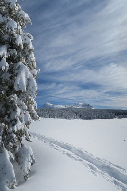 Haute Ardèche et haute neige fraiche