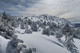 Haute Ardèche et haute neige fraiche