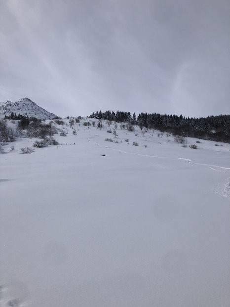 Haute Ardèche et haute neige fraiche