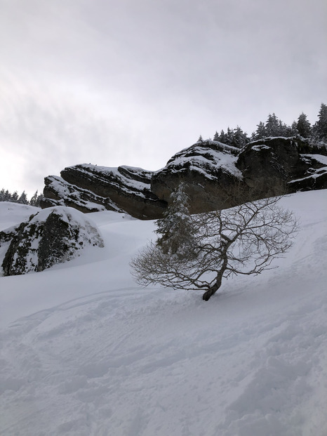 Haute Ardèche et haute neige fraiche