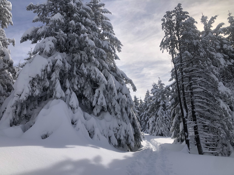 Haute Ardèche et haute neige fraiche