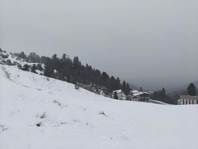 Les chamois et le blaireau