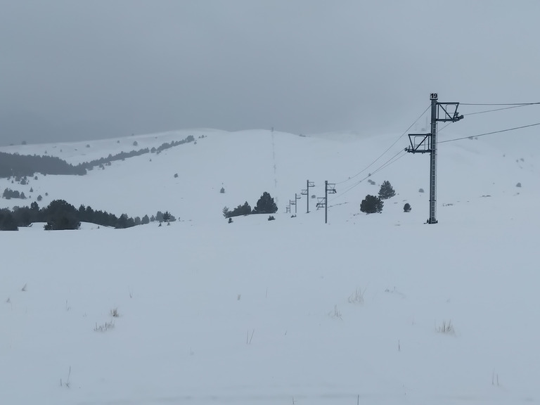 Les chamois et le blaireau