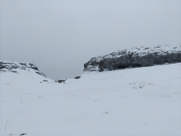 Les chamois et le blaireau