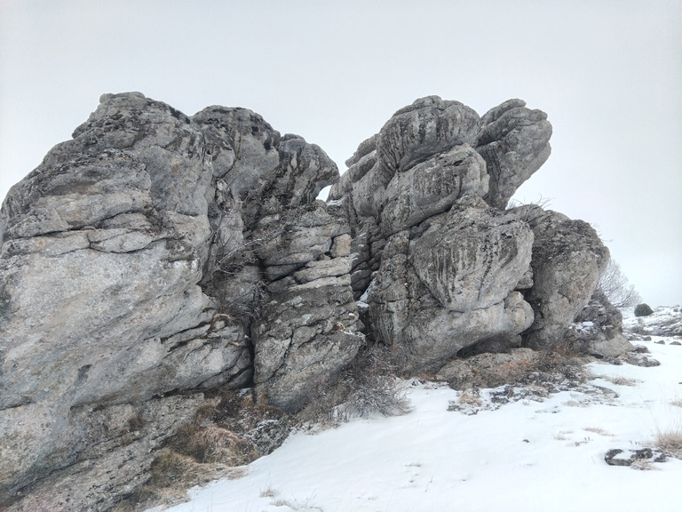 Les chamois et le blaireau