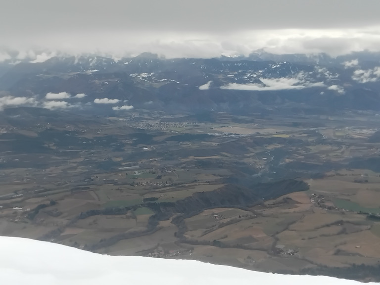 Les chamois et le blaireau