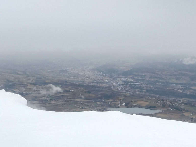 Les chamois et le blaireau