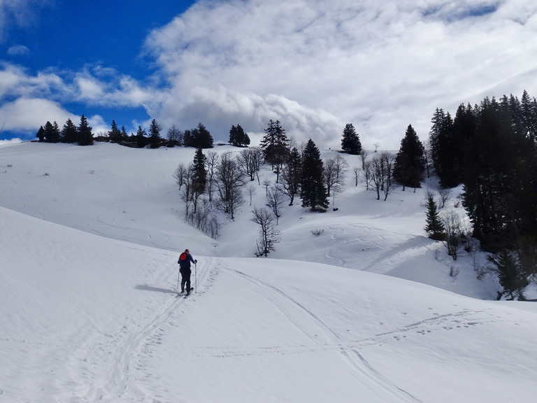 Encore de la neige