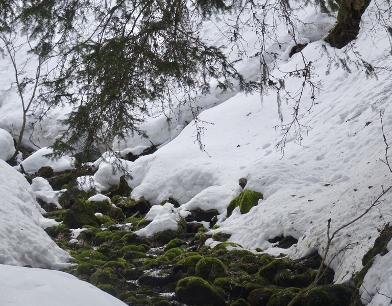 Encore de la neige