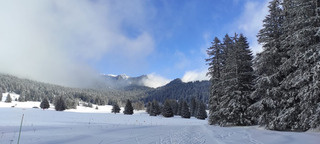 Avant l&rsquo;am&eacute;lioration 