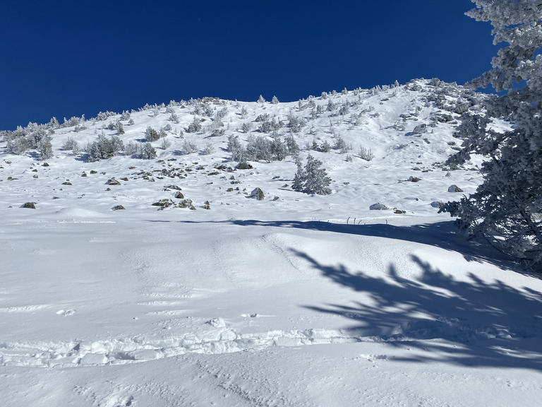 Encore de bonnes conditions au Mezenc