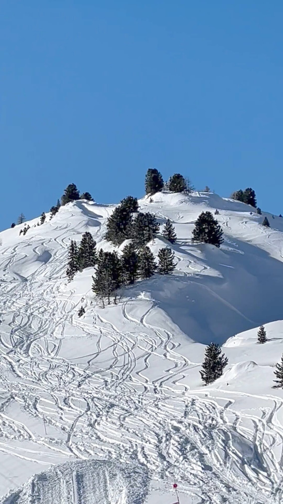 Poudre en Suisse 🇨🇭 