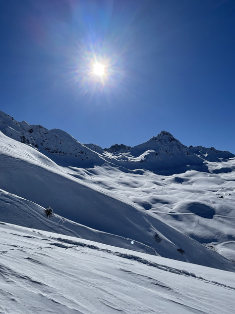 Samedi 15 février au top 