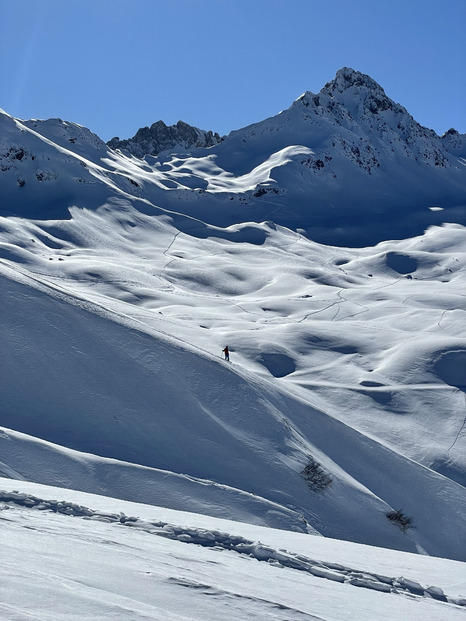 Samedi 15 février au top 