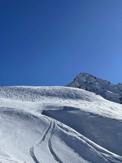 Samedi 15 février au top 