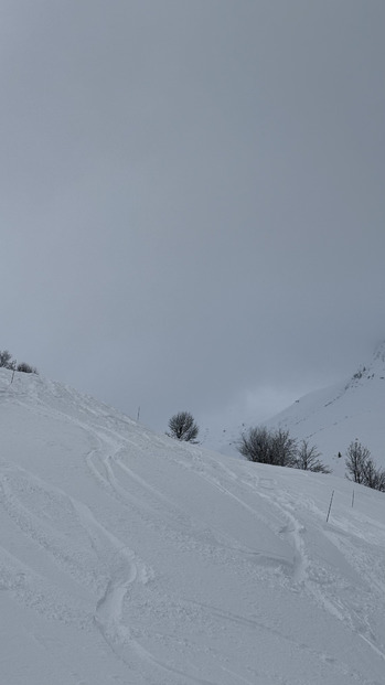 Une belle journée pour être dans le brouillard