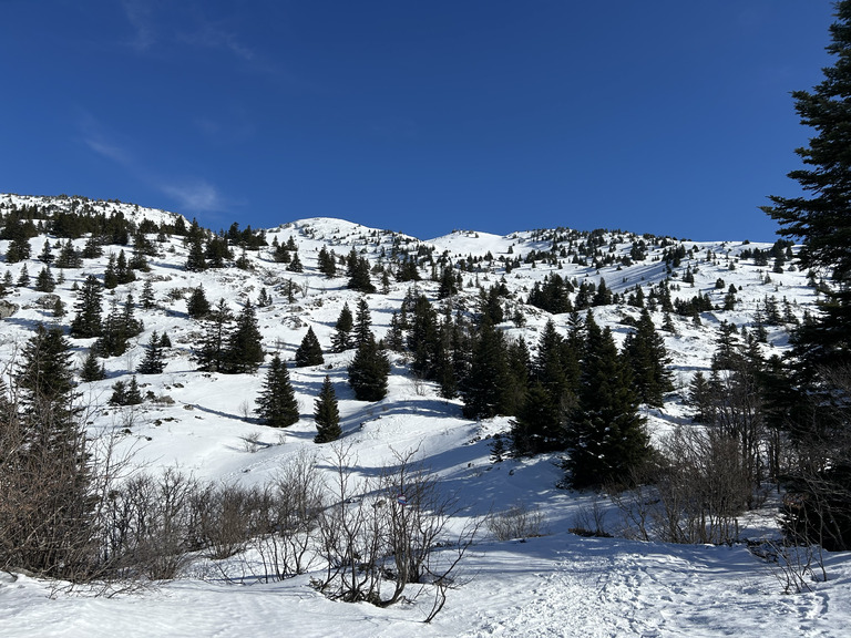 Échec nordique aux Allières