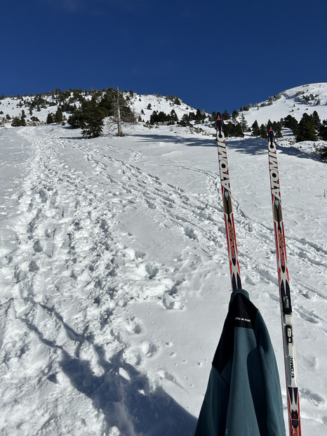 Échec nordique aux Allières