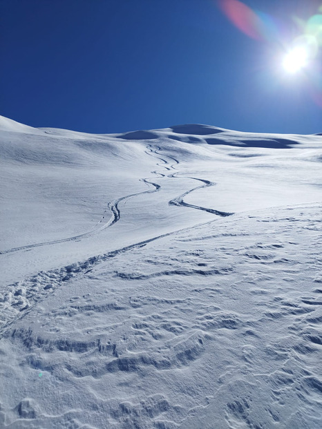 C'est beau, c'est Sales ☀️❄️