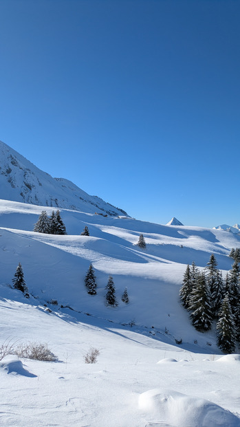 Bleu et blanc au col de la Tulle